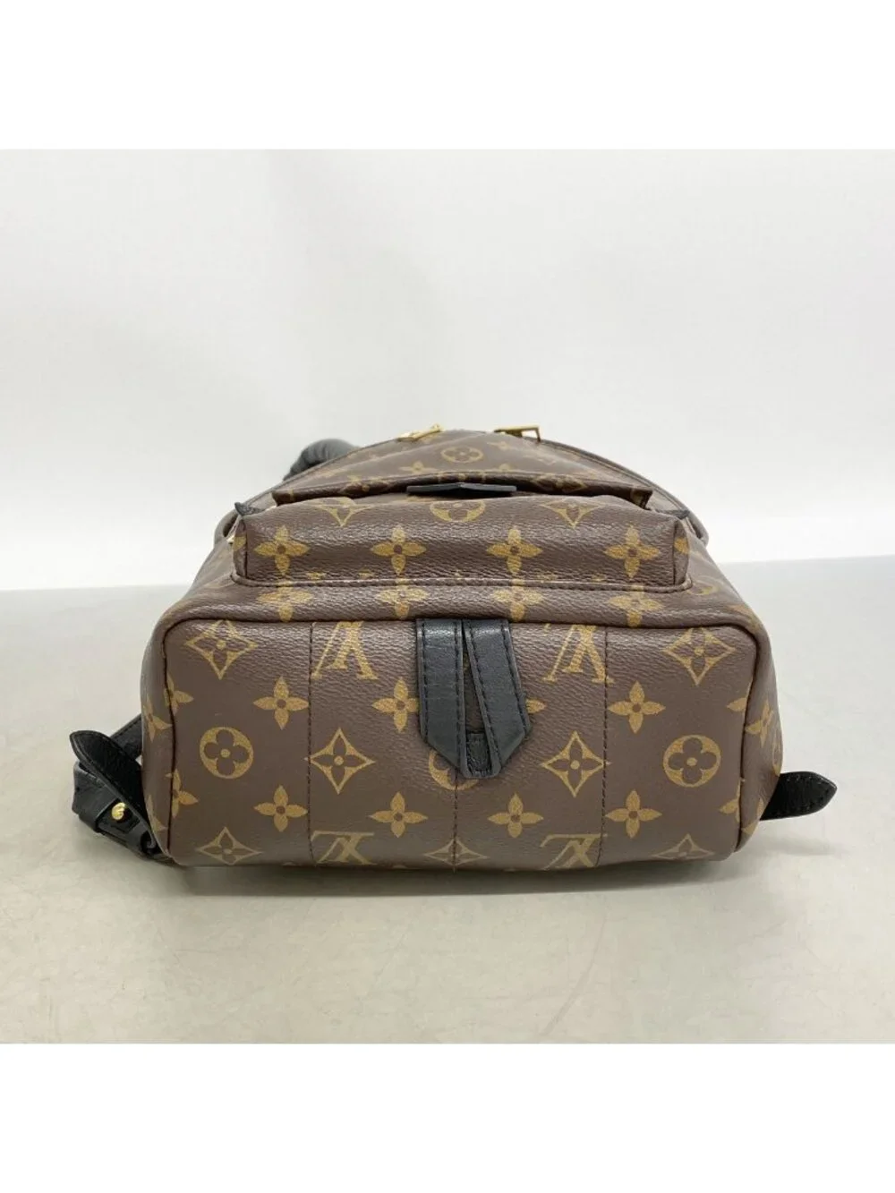 Louis Vuitton Backpack Monogram Palm Springs PM Brown
